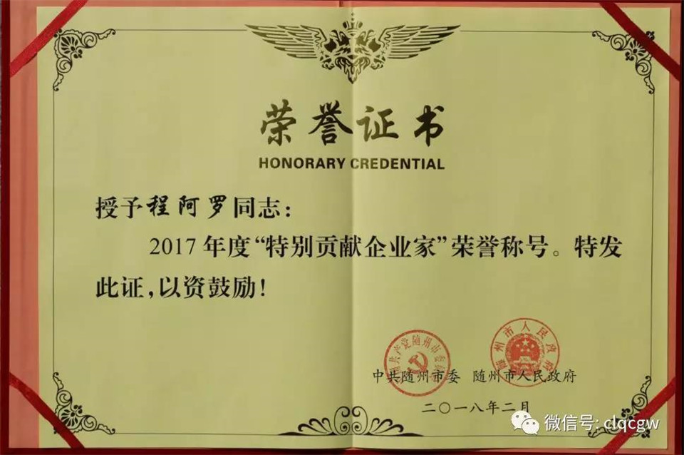 程力集团荣誉 (10)