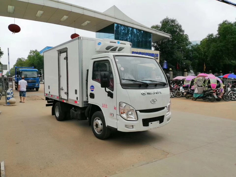 跃进小福星sq50柴油3米3程力小型冷藏车 (6)